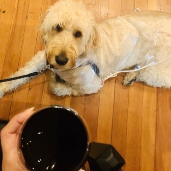 The Whet Spot - Cin cin from Baci the wine tasting pup!! #WetPup - Wine Bars Near Me - Seaside, Oregon