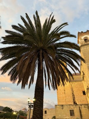 Templo de Santo Domingo de Guzmán by null