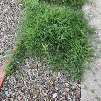 Citiscapes - Landscaping Near Me - Phoenix, Arizona