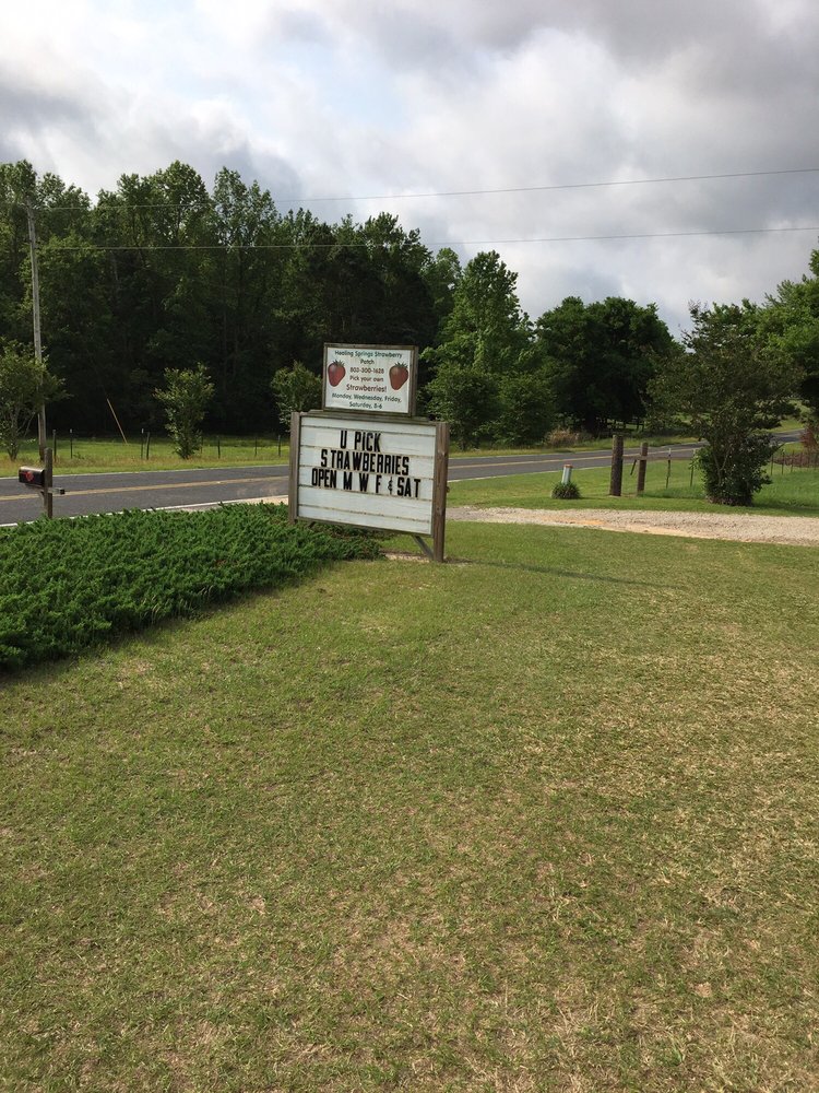 HEALING SPRINGS STRAWBERRY PATCH Updated October 2024 2101 Jone