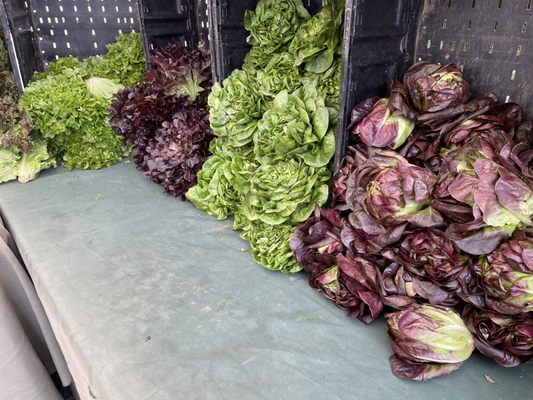 Sherman Oaks Farmers Market by null