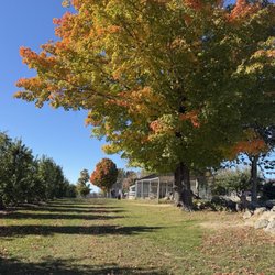 Butternut Farm