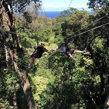 Kohala Zipline - Zipline - Tours Near Me - Hawi, Hawaii Kohala Zipline - Zipline - Tours Near Me - Hawi, Hawaii