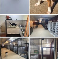 Country Barn Dog Kennel