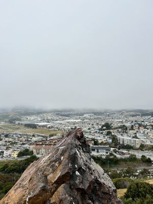 Bayview Park by null