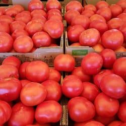 Ryan's Produce
