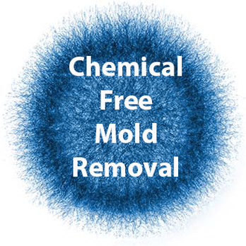 Breathe Easy Mold Remediation - Damage Restoration Near Me - Chattanooga, Tennessee Breathe Easy Mold Remediation - Damage Restoration Near Me - Chattanooga, Tennessee