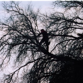 J R Ash Tree Company - Tree Services Near Me - Belton, Texas