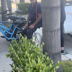 Fry's market and Rentals