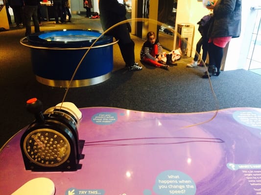 We The Curious by null