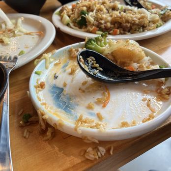 Xiaolong Dumpling - Demonstration of difficulty eating rice in a flat plate with a soup spoon - Szechuan Near Me - Houston, Texas