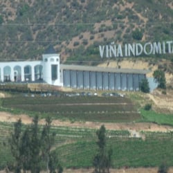 Viña Indómita - Vista de la viña desde la carretera