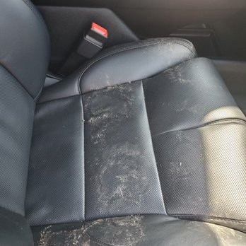 Alpine Mobile Detail - A gentle bear visit. - Auto Detailing Near Me - Sparks , Nevada Alpine Mobile Detail - A gentle bear visit. - Auto Detailing Near Me - Sparks , Nevada