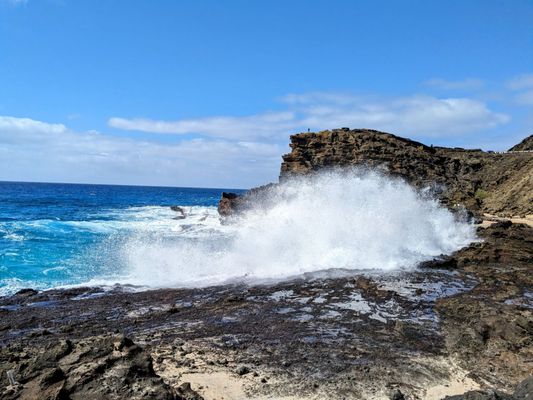 Halona Beach Cove by null