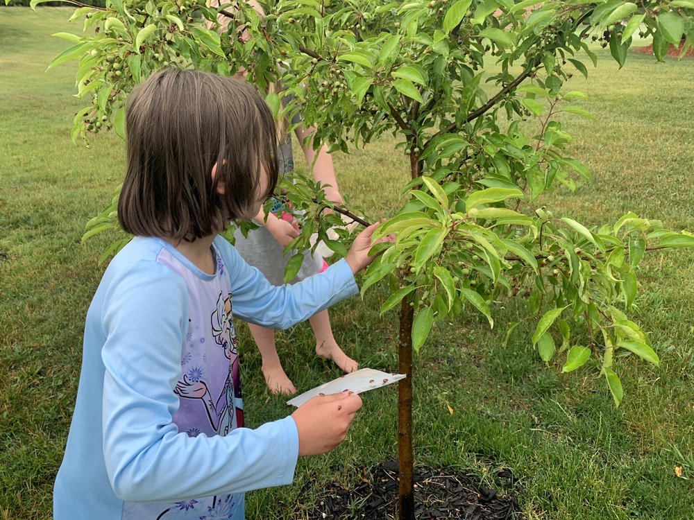 ENGLISH GARDENS 13 Photos & 16 Reviews 9900 Ann Arbor Rd W