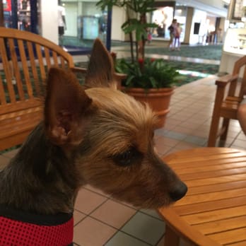 Kahala Mall - Princess gets a break from the heat - Shopping Centers Near Me - Honolulu, Hawaii Kahala Mall - Princess gets a break from the heat - Shopping Centers Near Me - Honolulu, Hawaii