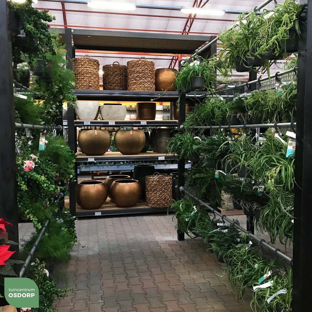 THE BEST 10 GARDENERS near OSDORP, AMSTERDAM, NOORD-HOLLAND, THE