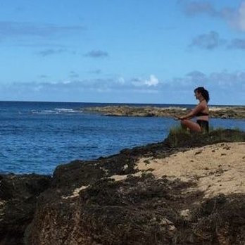 Shaka Tours - Cliffs looking over Sharks Cove a stop that was recommended by Shaka Tours... - Tours Near Me - Honolulu, Hawaii Shaka Tours - Cliffs looking over Sharks Cove a stop that was recommended by Shaka Tours... - Tours Near Me - Honolulu, Hawaii