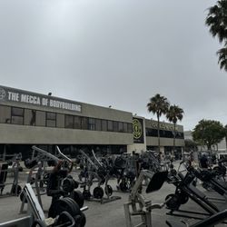 Gold's Gym - Palm trees and prison workouts.