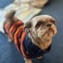 Photo of Pawfection Pet Care