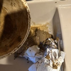 RAdata - This is monthly, the post-softener filter