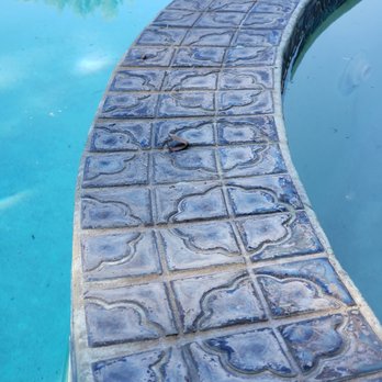 Diamond Pool and Spa Service - Pool Cleaners Near Me Diamond Pool and Spa Service - Pool Cleaners Near Me