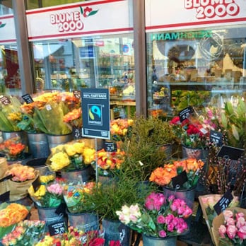 Blume 2000 - Blumen, ca. 2000 oder mehr - Florists Near Me - Erfurt, TH
