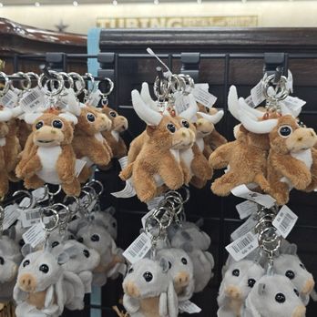 Buc-ees - Convenience Stores Near Me - San Marcos, Texas