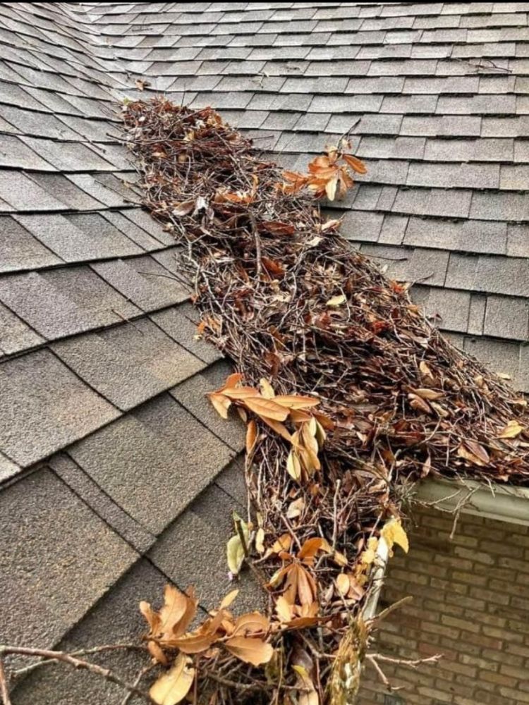 Slide of Macaw Roofing