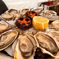 Huitrerie Régis - Dz Speciales No. 3 Oysters (39€) & 2 Small Oursin/Sea Urchin (6.5€/ea)