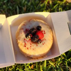Donut Friend - Highland Park - Polar berry club, yum
