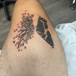 White Lotus - Butterfly wings