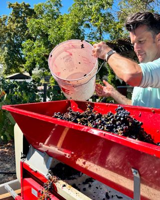 Charter Oak Winery by null
