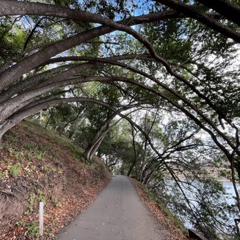 Lake Chabot Regional Park - Parks Near Me - Castro Valley, California Lake Chabot Regional Park - Parks Near Me - Castro Valley, California