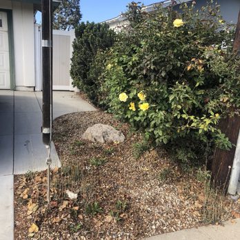 Green Team Landscapers - Before. - Landscaping Near Me - Ventura, California Green Team Landscapers - Before. - Landscaping Near Me - Ventura, California