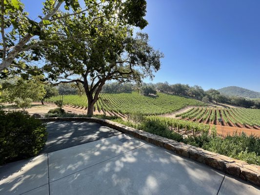 Gargiulo Vineyards by null