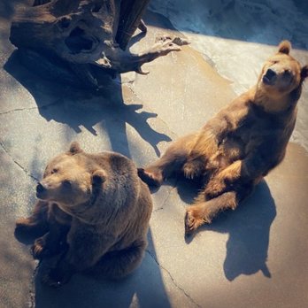 Cherokee Zoo - Zoos Near Me - Cherokee, North Carolina