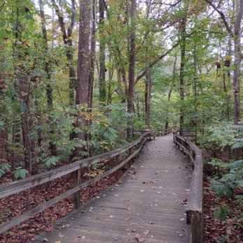 The Bog Garden - Parks Near Me - Greensboro, North Carolina