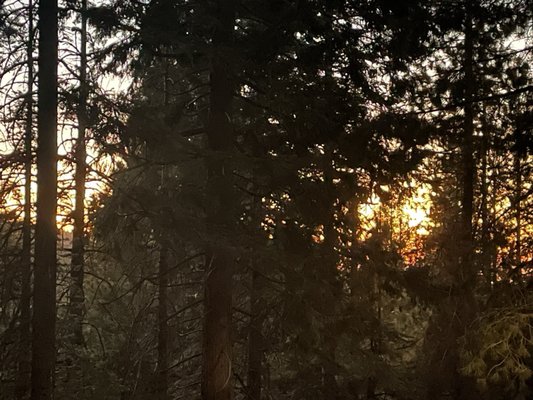 Scenic Wonders Lodging, Cabins and Rentals for Yosemite by null