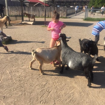 African Lion Safari - Zoos Near Me - Cambridge, Ontario
