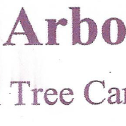 Mickiewicz Arbor Experts
