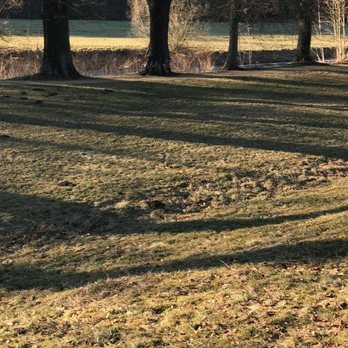 Fürstlich Greizer Park - Parks Near Me - Greiz, TH