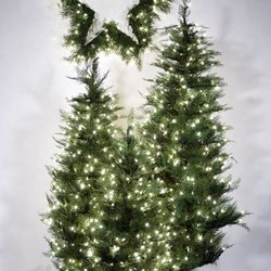 Holiday Lights Decorating