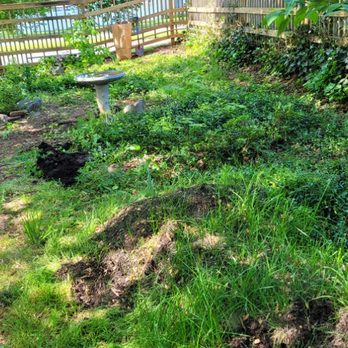 Zaquiel Landscaping - Snow Removal Near Me Zaquiel Landscaping - Snow Removal Near Me