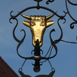 Ochsen