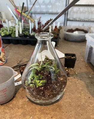 Roosevelt Terrariums