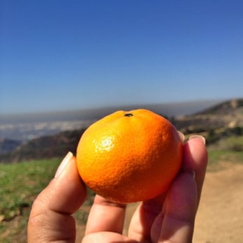 Hellman Park - I recommend these little juices on a hot summer hike - Parks Near Me - Whittier, California Hellman Park - I recommend these little juices on a hot summer hike - Parks Near Me - Whittier, California