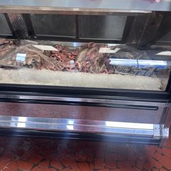 Quality Seafood Company - Fresh fish