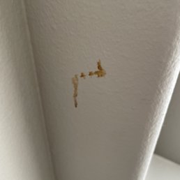 Unknown substance (blood?) on wall at move in