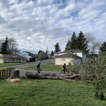 Western Star Tree Service - Tree Services Near Me - Bellingham, Washington Western Star Tree Service - Tree Services Near Me - Bellingham, Washington